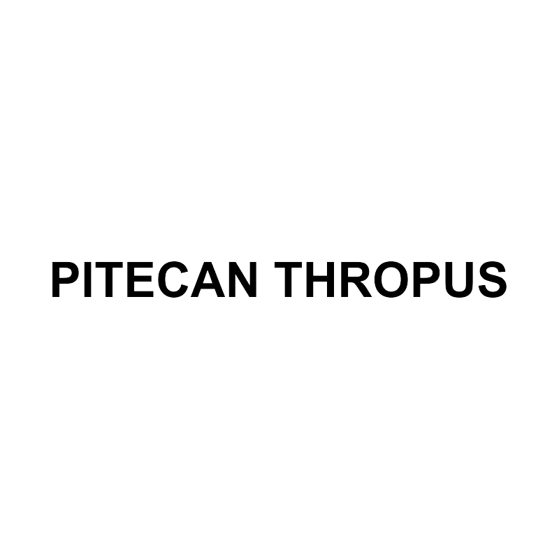 PITECAN THROPUS