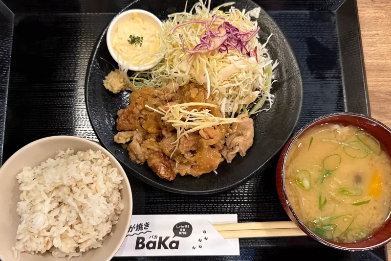 しょうが焼きBaKa　赤坂見附店